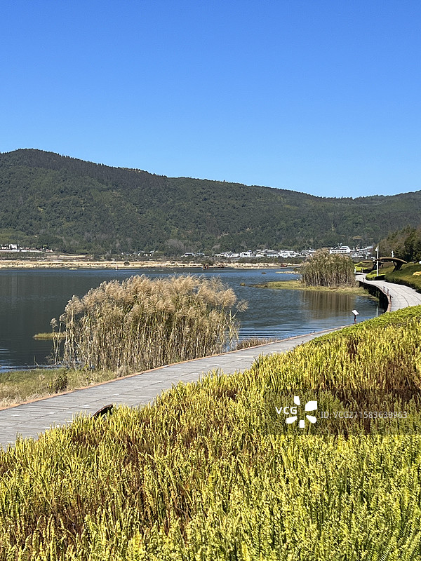 腾冲北海湿地公园图片素材