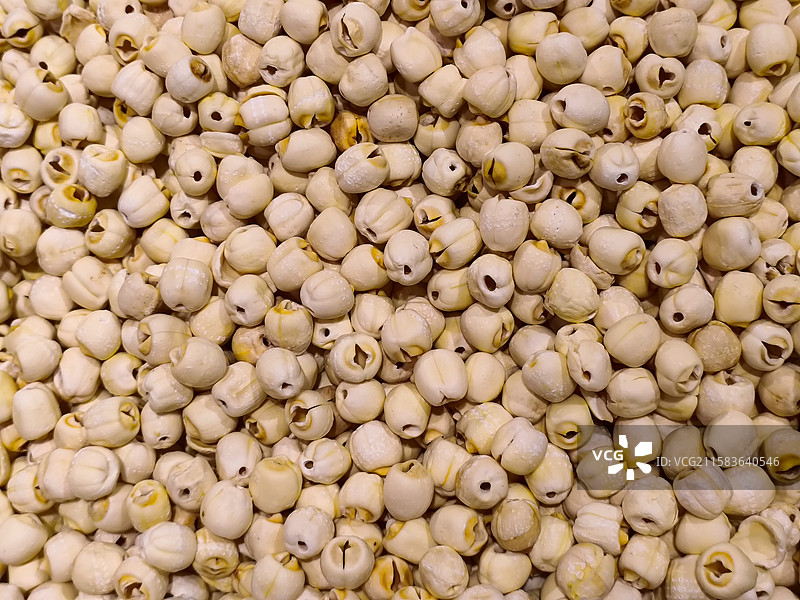 莲子图片素材