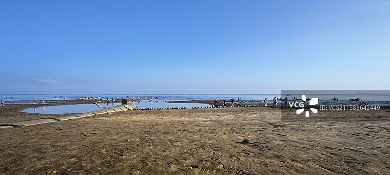 广西北海金滩（银滩）退潮赶海景观图片素材