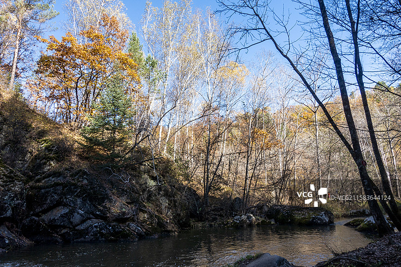 黑龙江伊春茅兰沟国家森林公园图片素材