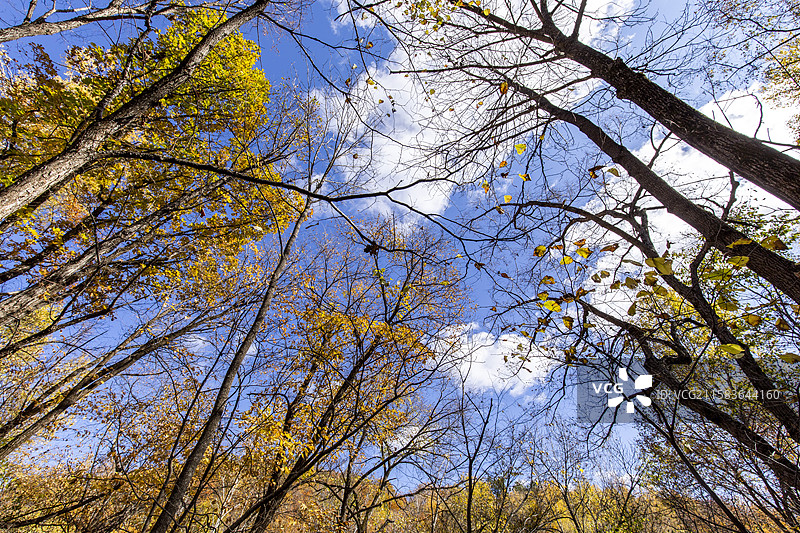 黑龙江伊春茅兰沟国家森林公园图片素材