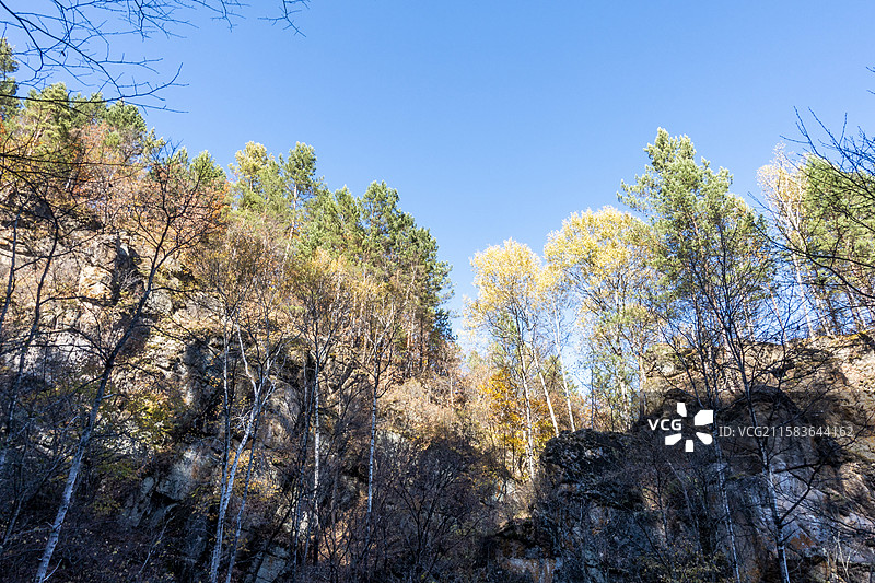 黑龙江伊春茅兰沟国家森林公园图片素材