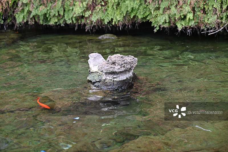 河南洛阳龙门石窟景区 禹王池图片素材