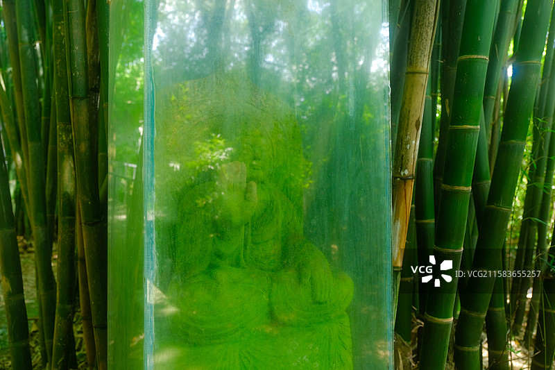 鹿野苑石刻艺术博物馆图片素材