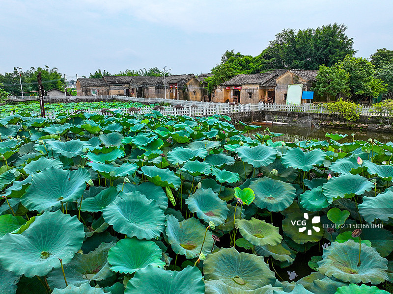 广东省河源市东源县义和镇苏家围客家乡村旅游区航拍图片素材