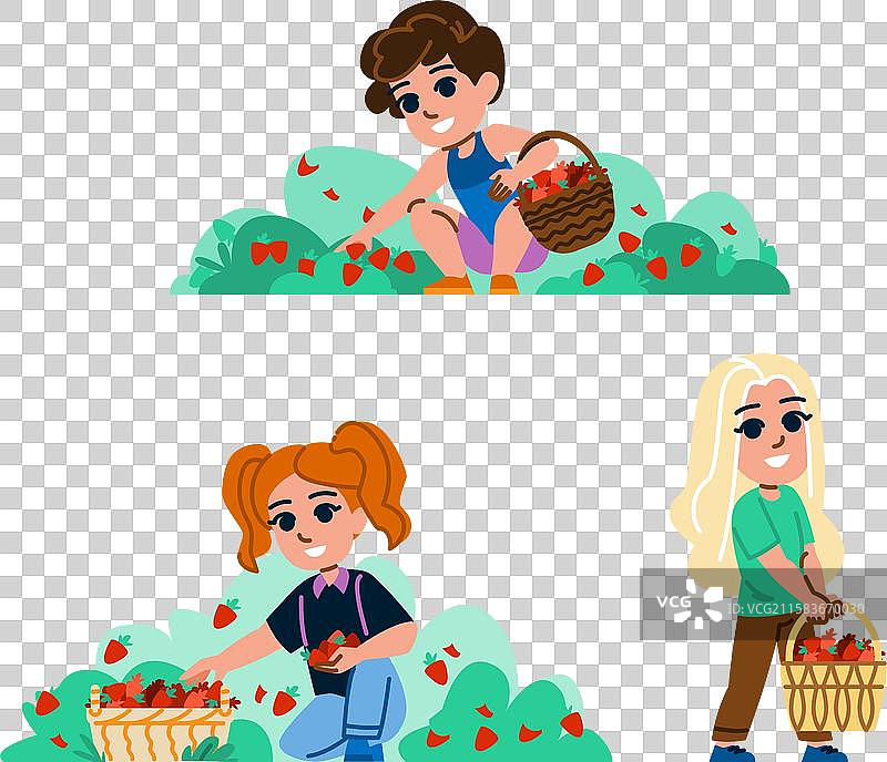 孩子在采草莓图片素材