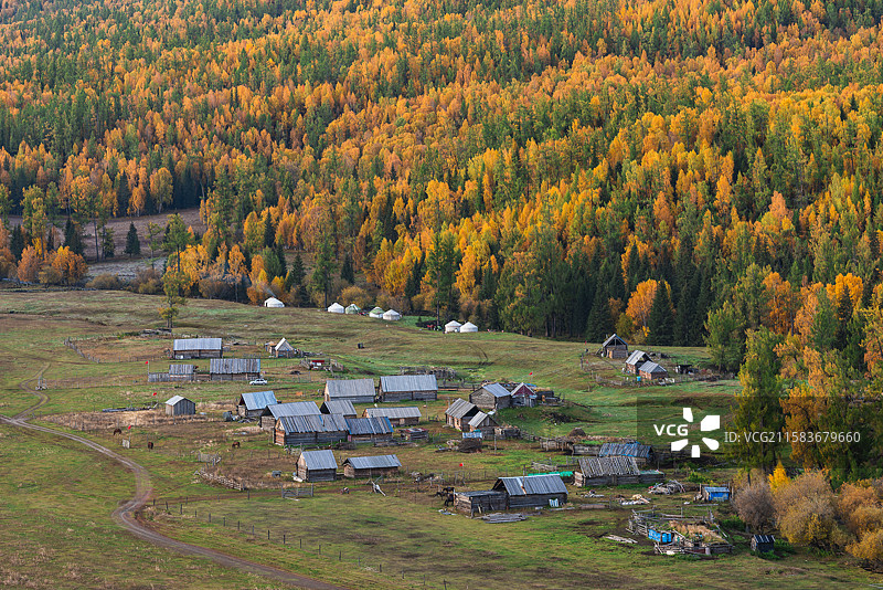 秋季日出时分的新疆阿勒泰喀纳斯图瓦新村田园风光图片素材