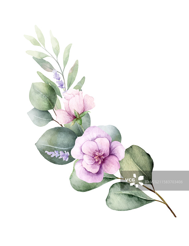 带有绿色桉树的水彩花环图片素材