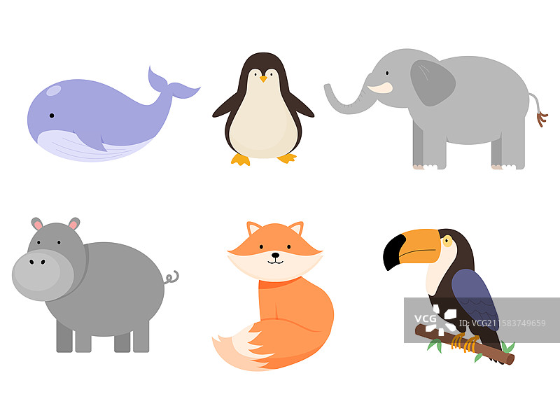 动物，哺乳动物，鸟类，鲸鱼，企鹅，大象，河马，狐狸，巨嘴鸟图片素材
