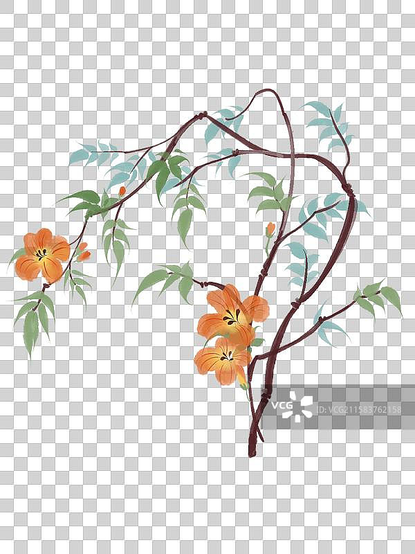 古风水墨凌霄花图片素材