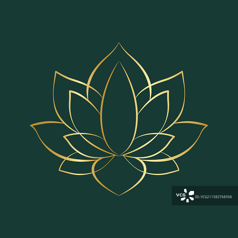 简单的金色莲花线条画在绿色背景上图片素材