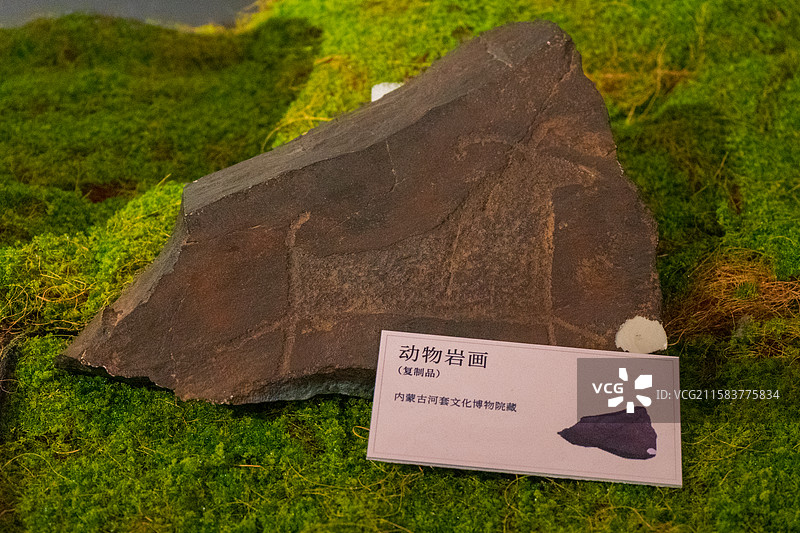 乌兰察布博物馆岩画图片素材
