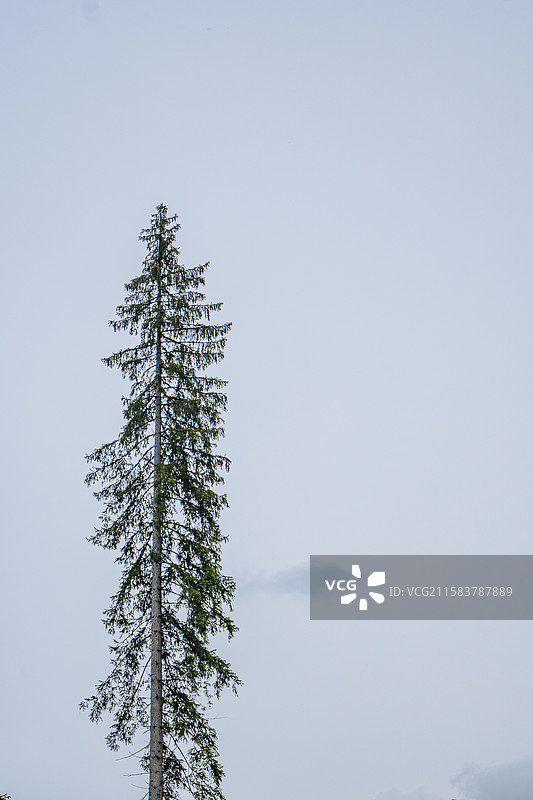 多洛米蒂·Dolomites-卡雷扎湖·Lago di Carezza图片素材