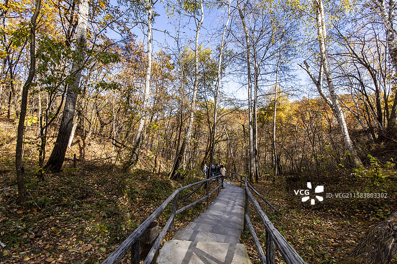 黑龙江伊春茅兰沟国家森林公园图片素材