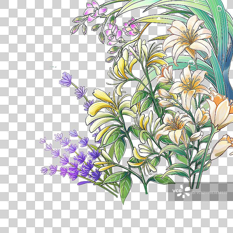 国风植物图片素材