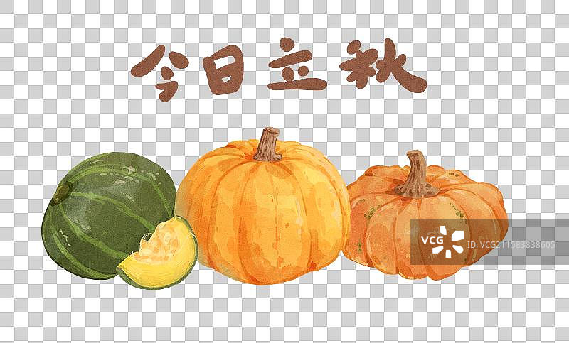 南瓜图片素材