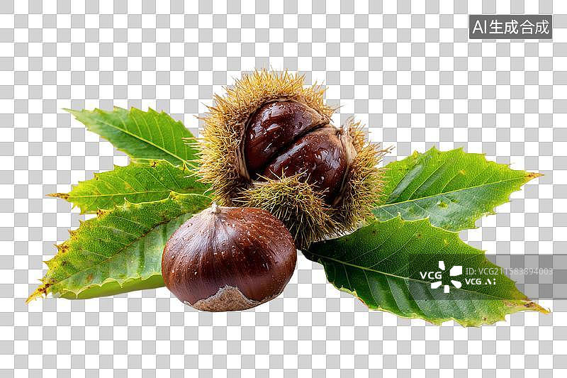 【AI数字艺术】带绿叶的新鲜甜栗子展示图片素材