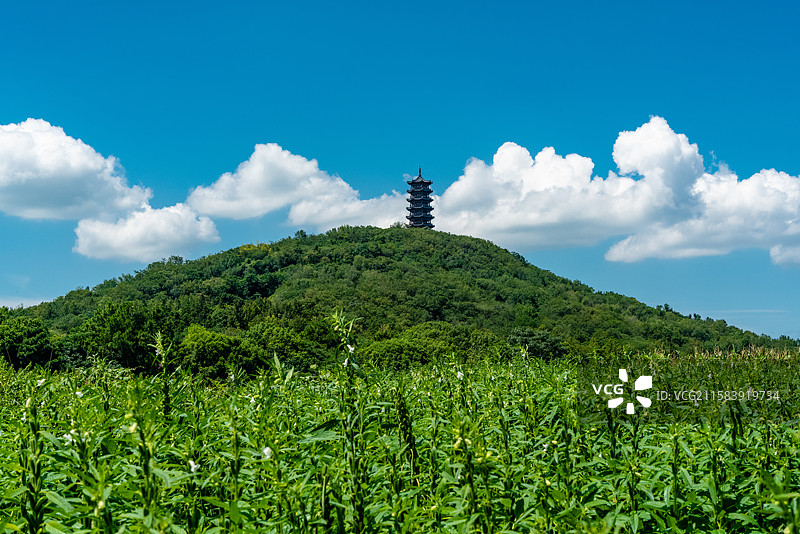 高淳国际慢城文峰塔图片素材