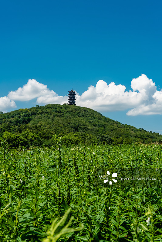 高淳国际慢城文峰塔图片素材