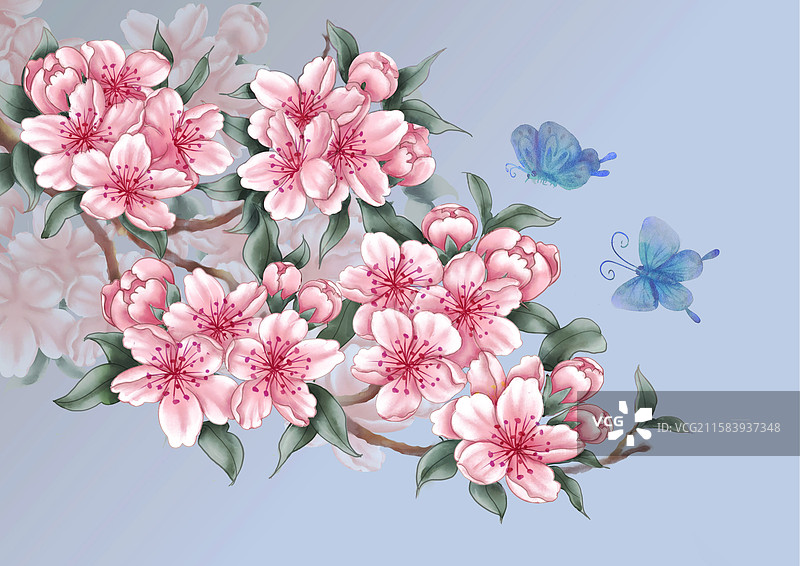 白色背景下粉红色花朵的特写镜头图片素材