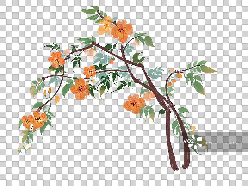 古风水墨凌霄花图片素材