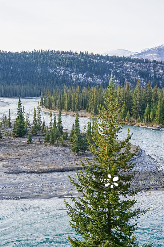 加拿大，贾斯珀国家公园，阿萨巴斯卡河风景图片素材