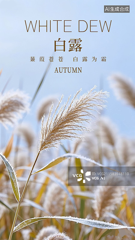 【AI数字艺术】二十四节气插画海报模版-秋天  摇曳的芦苇荡高清摄影 风景插画 绘本封面配图 竖版图片素材