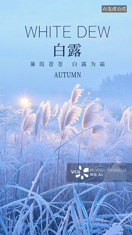 【AI数字艺术】落日下的芦苇插画，二十四节气系列插画海报模版-秋天 风景插画 湖面的芦苇 国风山水意境 竖版图片素材