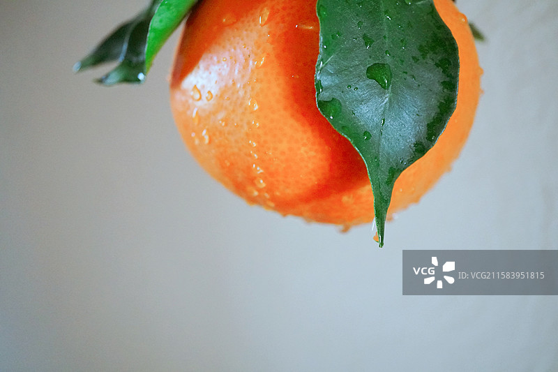 一颗新鲜的橙子橘子桔子露水绿叶水滴瘦身健康减脂饮食下午茶精致生活美学杂志公众号封面留白白色背景图片素材
