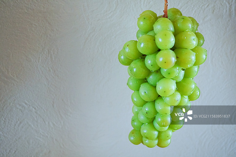 一串新鲜阳光玫瑰葡萄特写镜头娇艳欲滴瘦身减脂减肥维生素健康营养公众号杂志封面下午茶精致生活水果图片素材