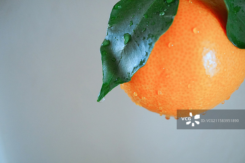 一颗新鲜的橙子橘子桔子露水绿叶水滴瘦身健康减脂饮食下午茶精致生活美学杂志公众号封面留白白色背景图片素材