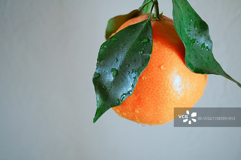 一颗新鲜的橙子橘子桔子露水绿叶水滴瘦身健康减脂饮食下午茶精致生活美学杂志公众号封面留白白色背景图片素材