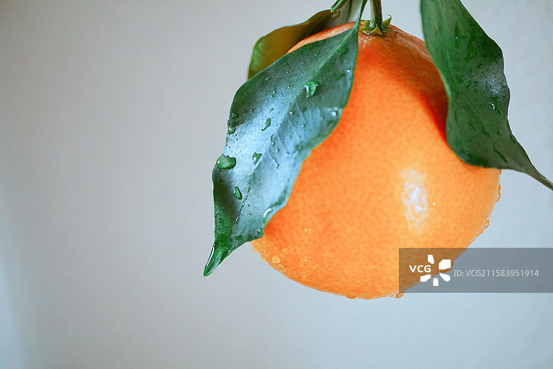 一颗新鲜的橙子橘子桔子露水绿叶水滴瘦身健康减脂饮食下午茶精致生活美学杂志公众号封面留白白色背景图片素材