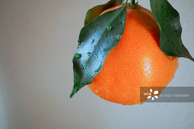 一颗新鲜的橙子橘子桔子露水绿叶水滴瘦身健康减脂饮食下午茶精致生活美学杂志公众号封面留白白色背景图片素材