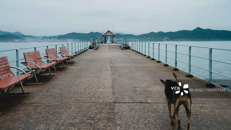 香港东平洲码头图片素材