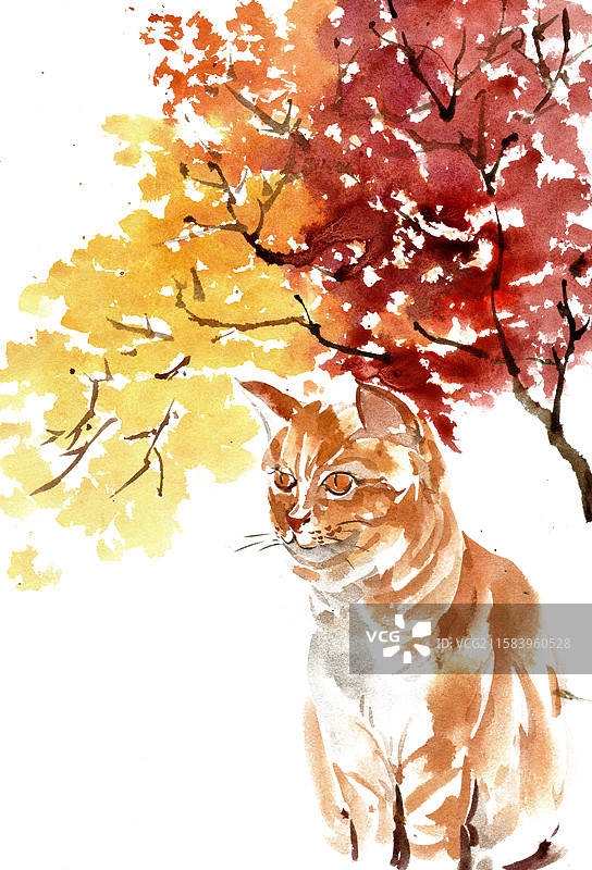 秋树下的小猫图片素材