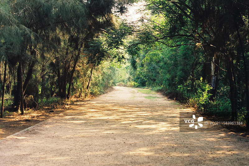 汕头红树林公园景观图片素材