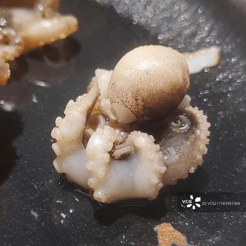 煎海鲜章鱼八爪鱼图片素材