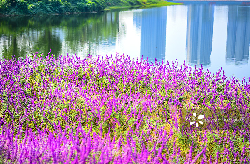 重庆 礼嘉智慧公园图片素材