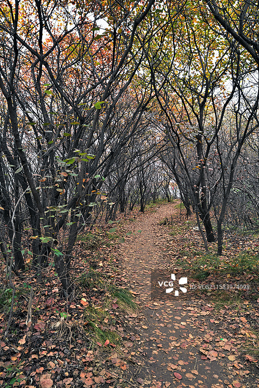 河北省石家庄市井陉矿区清凉山图片素材