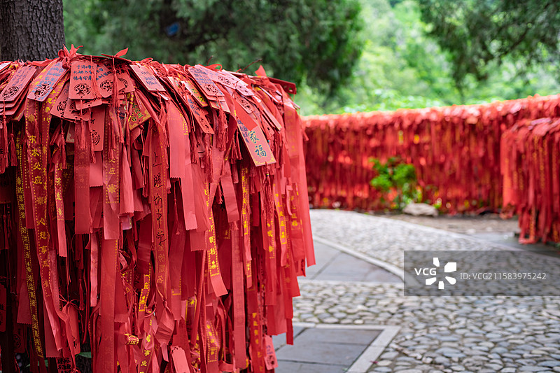 中国传统文化拍摄主题，古树上捆绑着许多红色的祈福带，户外白昼无人图像摄影图片素材