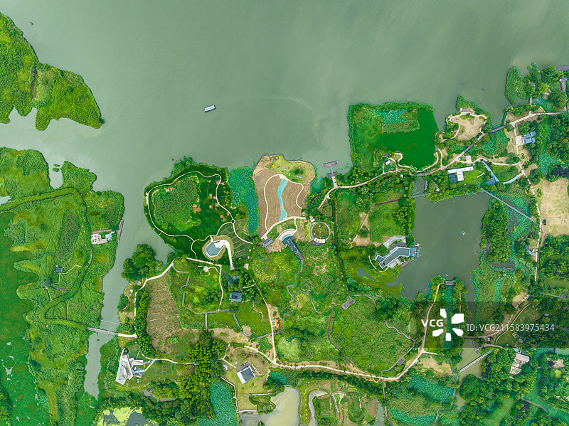 德清下渚湖湿地图片素材