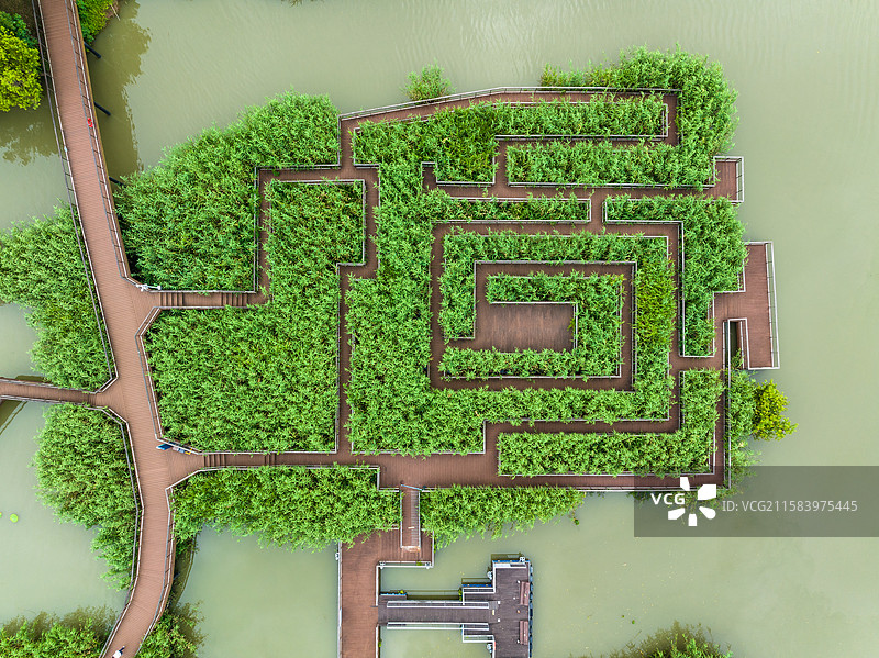 德清下渚湖湿地图片素材