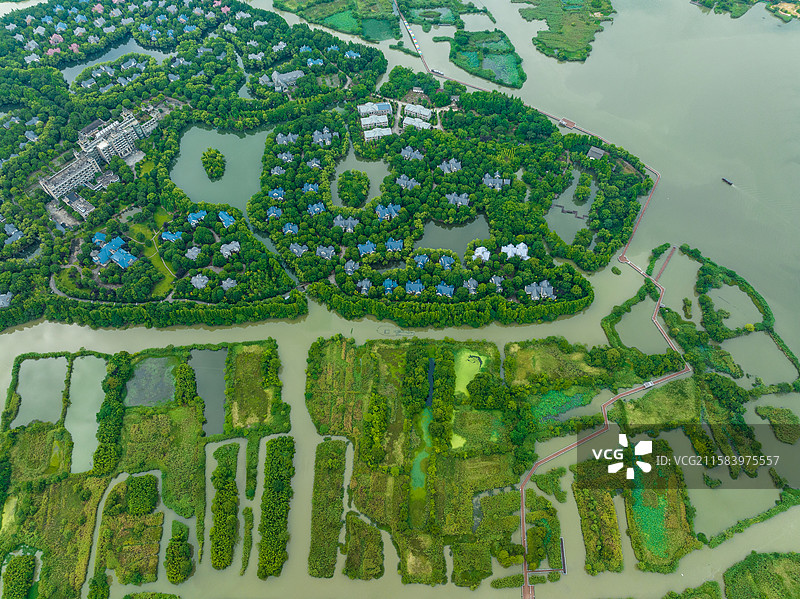 德清下渚湖湿地图片素材