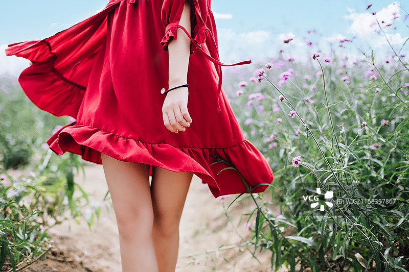 薰衣草花海旁少女转动着她的红色裙摆图片素材