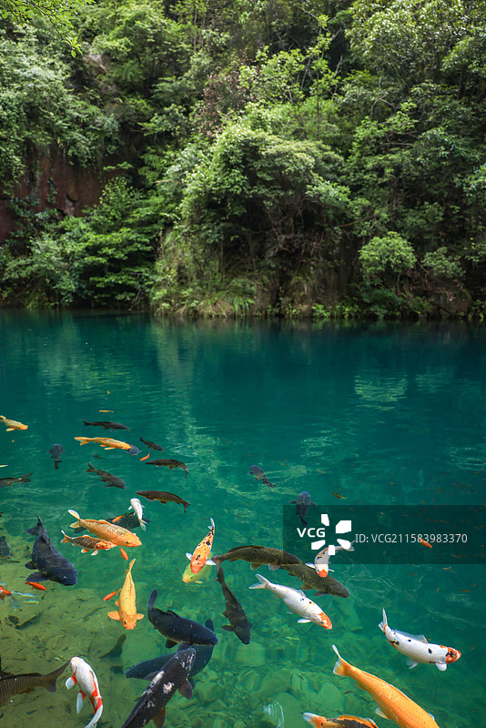 浙江杭州桐庐大奇山国家森林公园图片素材