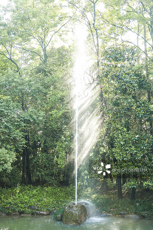 浙江杭州桐庐大奇山国家森林公园图片素材