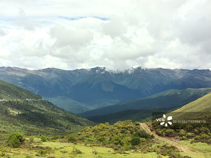 川藏线骑行第十八天（林芝巴宜 鲁朗林海）图片素材