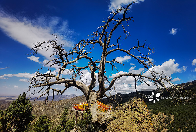 苍天般的阿拉善，贺兰山下福音寺图片素材