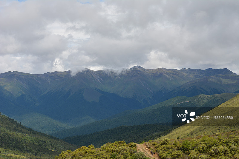 川藏线骑行第十八天（林芝巴宜 鲁朗林海、色季拉山、南迦巴瓦峰）图片素材